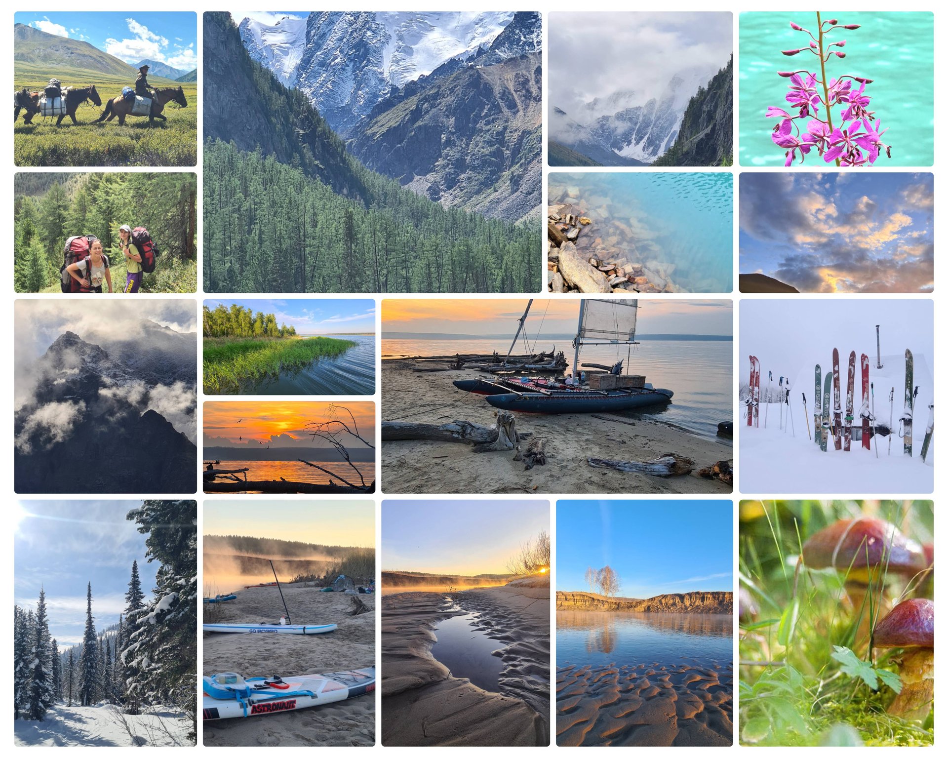 Попутчики🏕