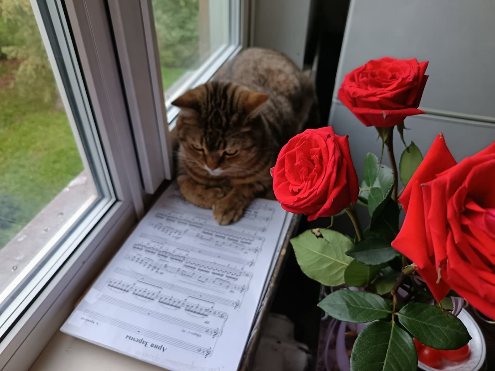 Уроки эстрадного вокала