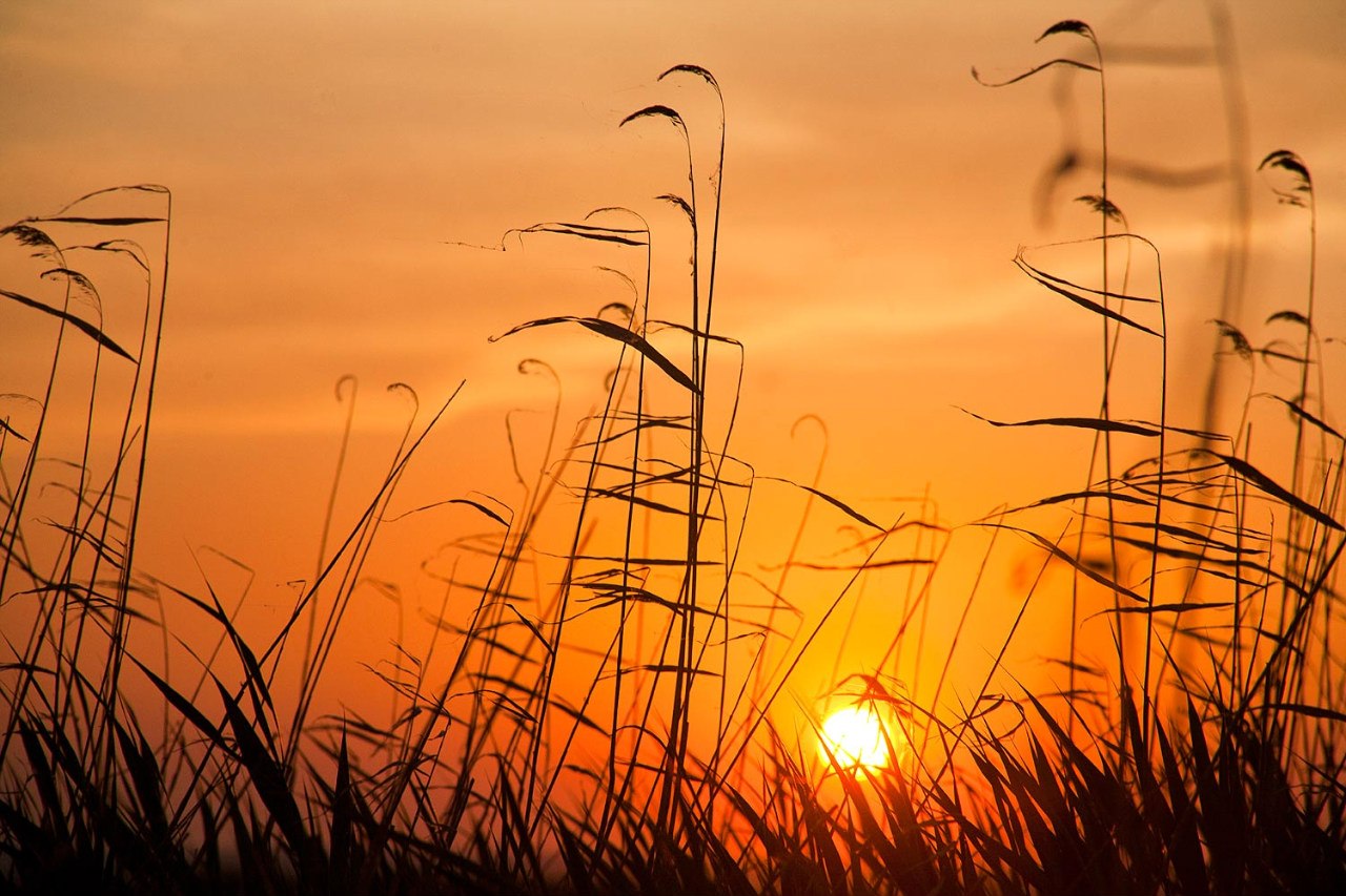 Обское море