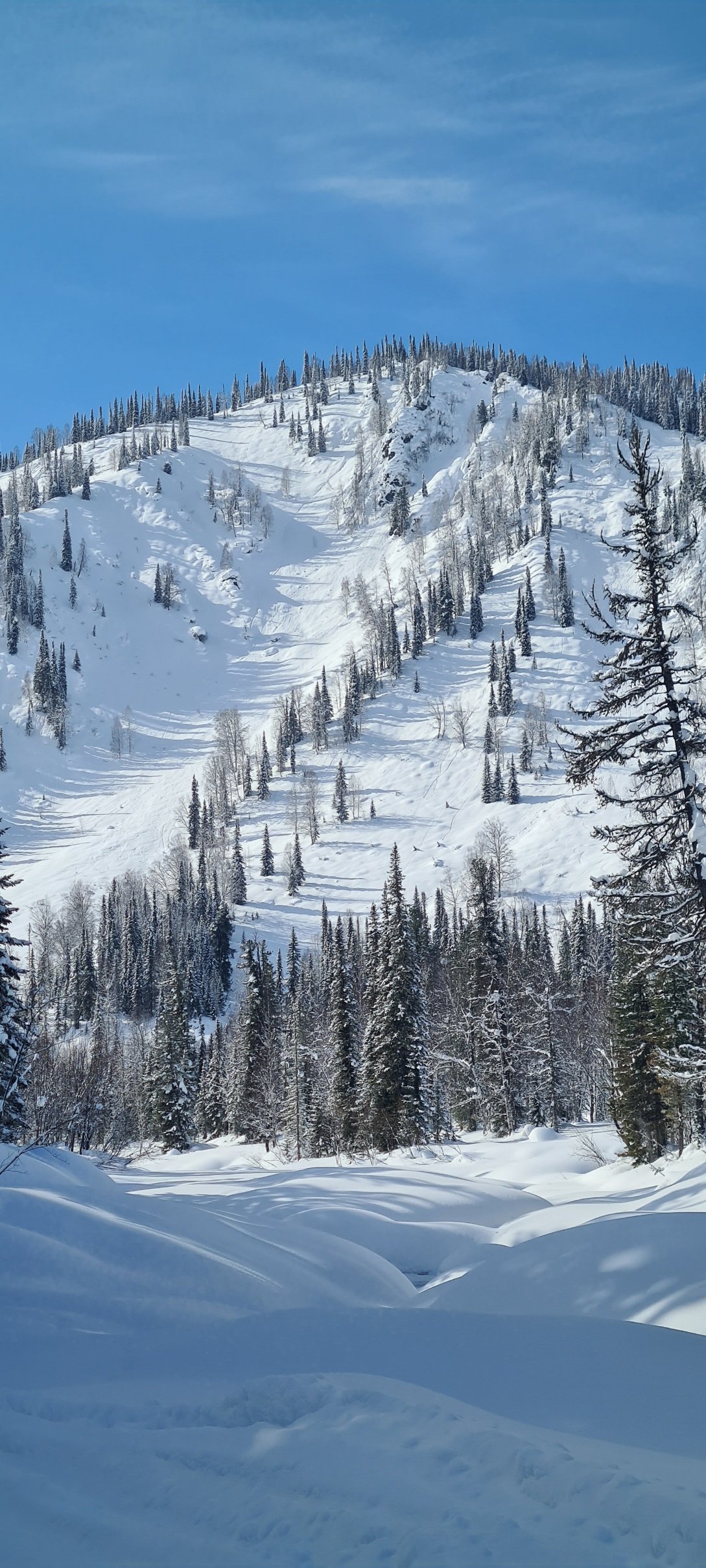 Поднебесные зубья