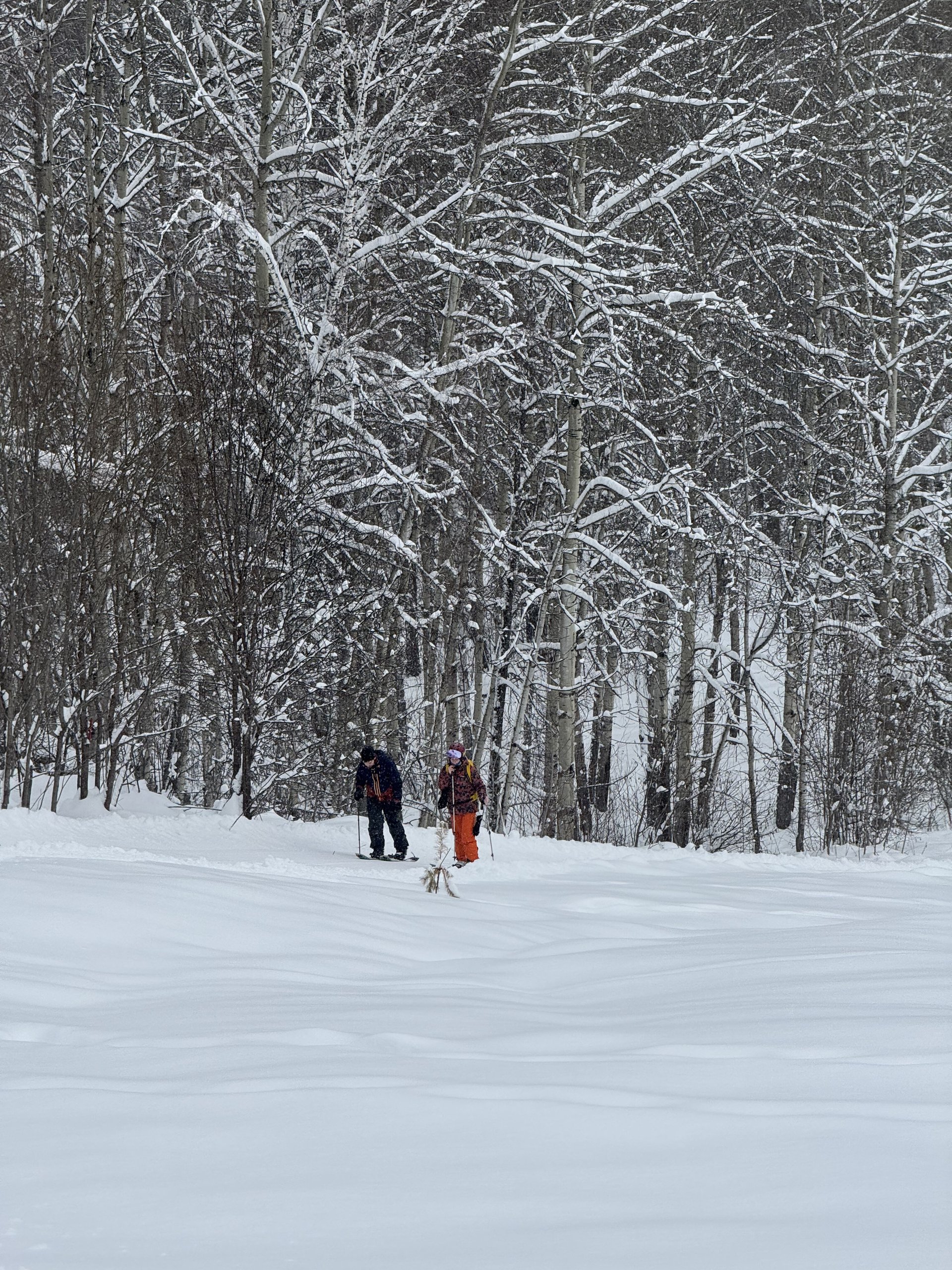 Прогулка к скале Альпинист