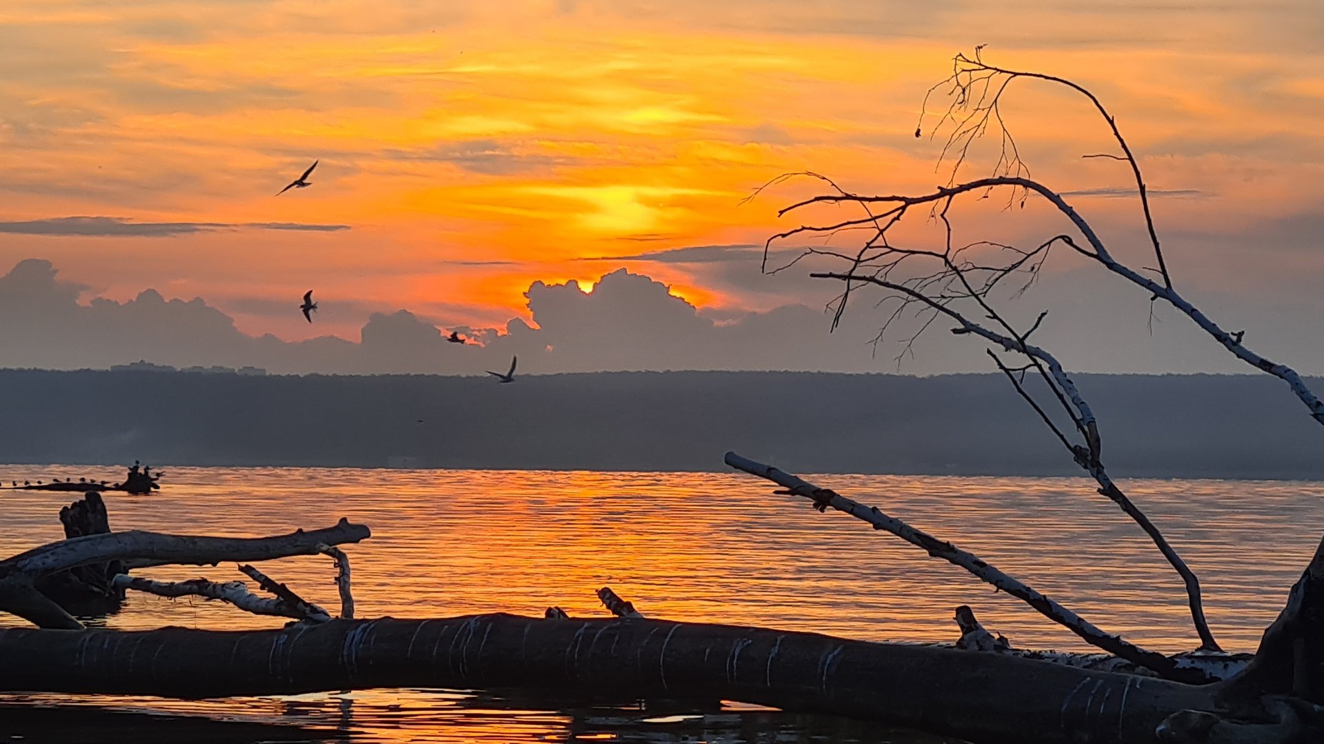 Прогулки под парусом