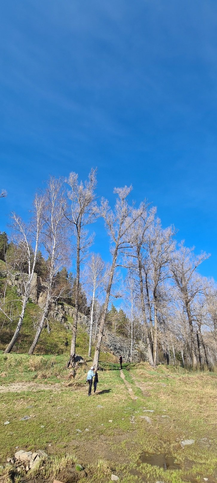 Сплав по Берди на сапах