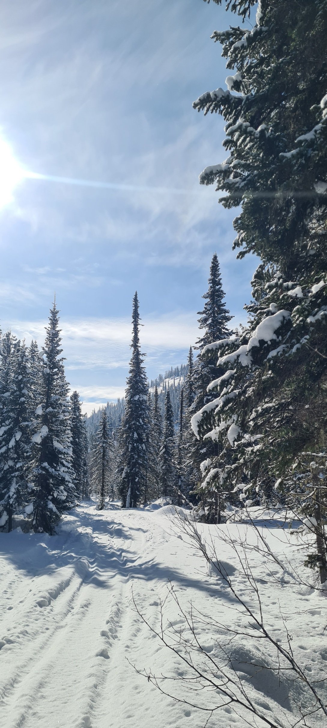 Фото экспедиция Хаски