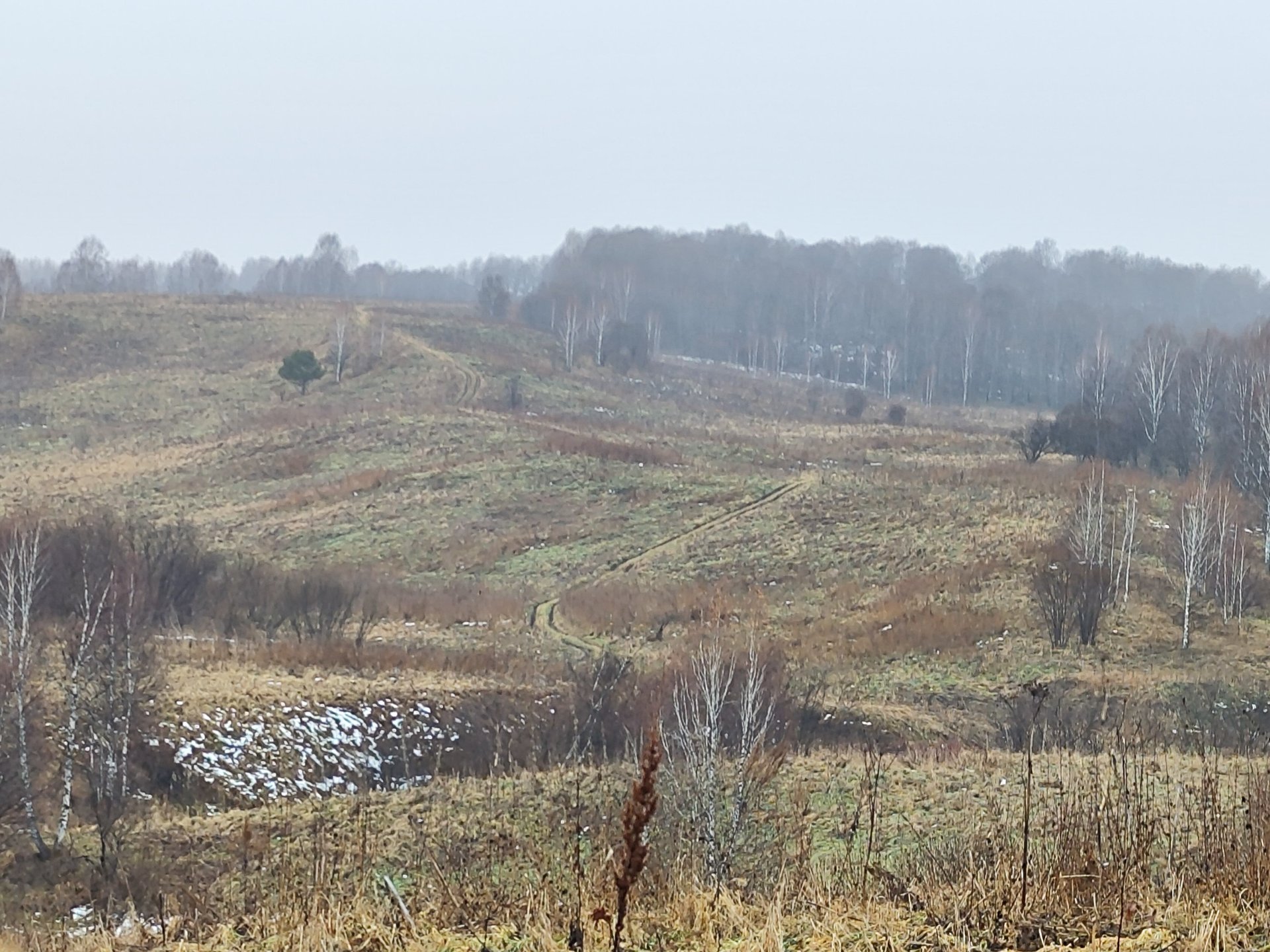 Каменные вортота