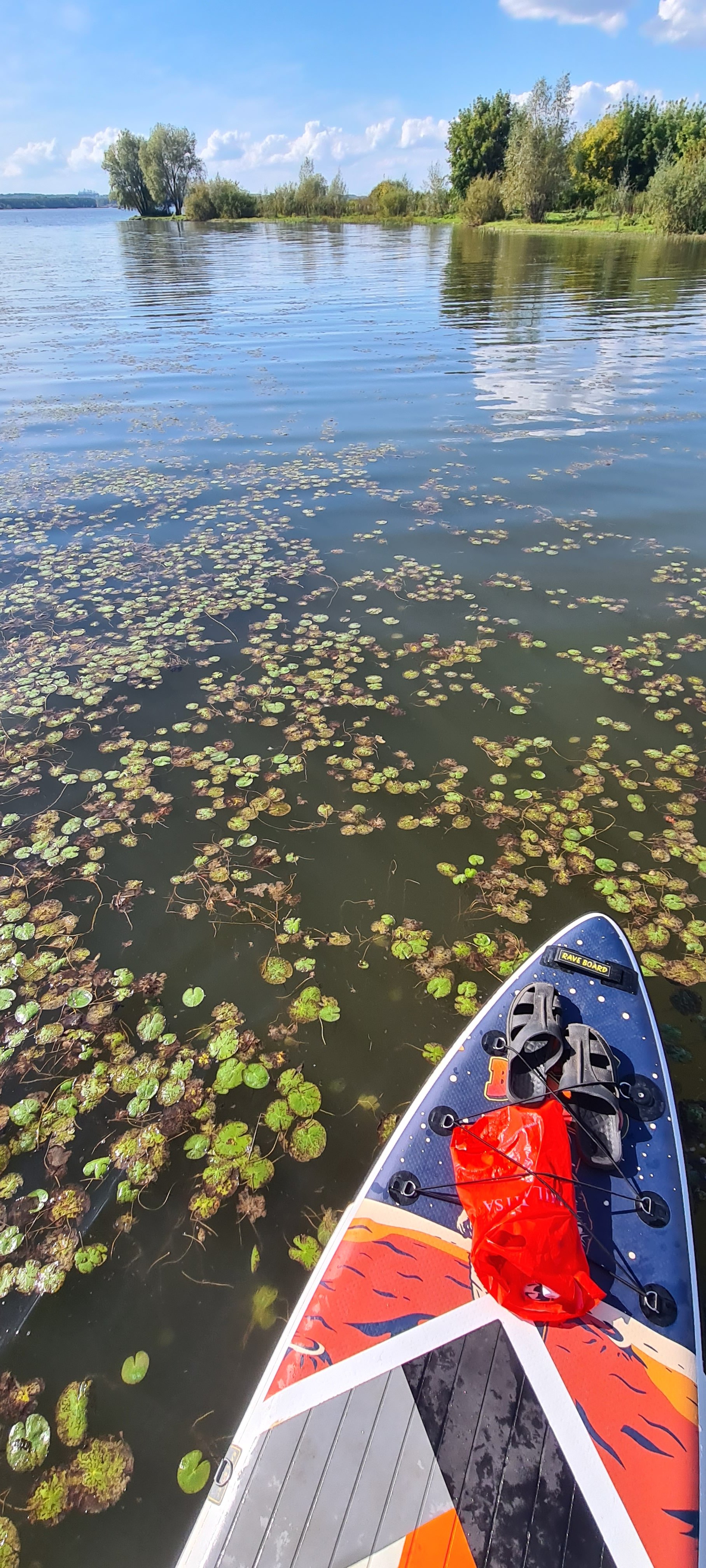 Бердский залив